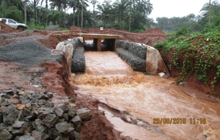 Erosion Control 1