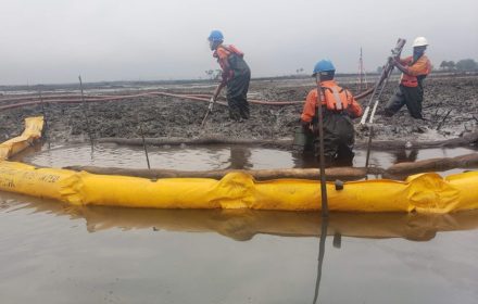 Soil Remediation